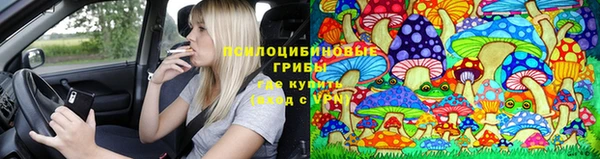 круглые Армянск